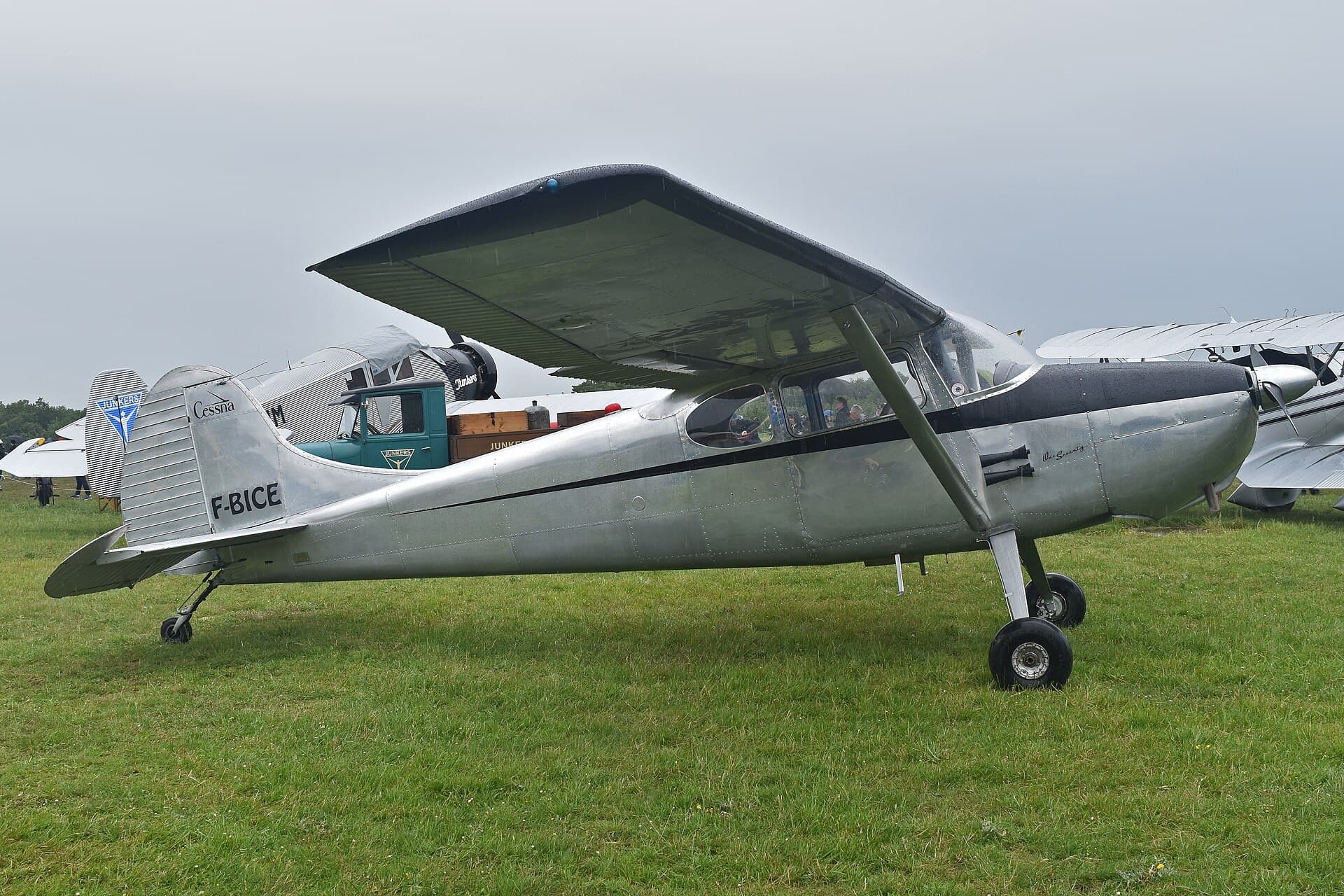 Un Cessna 170B de 1950 sur l'herbe, son train classique bien visible