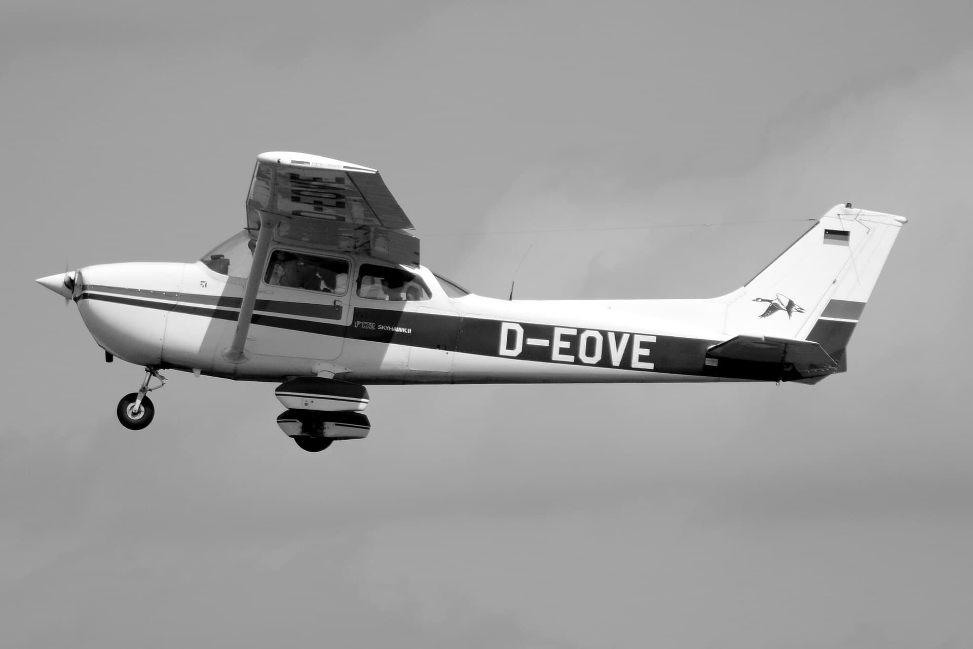 Un Cessna F172 Skyhawk construit par Reims, en vol