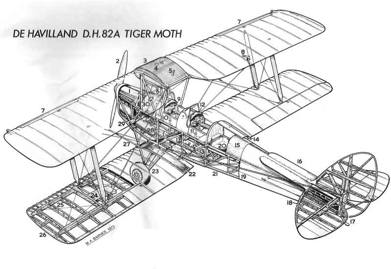 Cutaway drawing of the de Havilland D.H.82A Tiger Moth in a three-quarter front view, with the fabric stripped away to show the welded steel-tube fuselage truss, the spruce wing spars and ribs of the staggered, swept upper and lower wings, the inverted Gipsy Major engine and the tail unit structure, with about thirty numbered callouts.